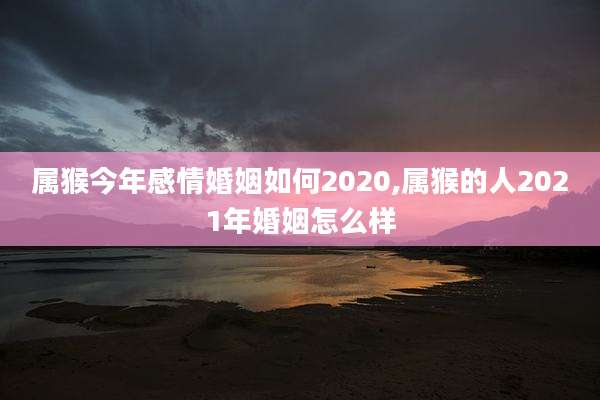 属猴今年感情婚姻如何2020,属猴的人2021年婚姻怎么样