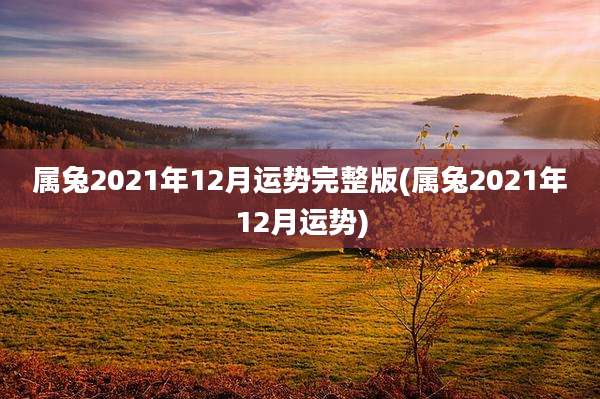 属兔2021年12月运势完整版(属兔2021年12月运势)