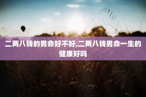 二两八钱的男命好不好,二两八钱男命一生的健康好吗