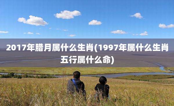 2017年腊月属什么生肖(1997年属什么生肖五行属什么命)