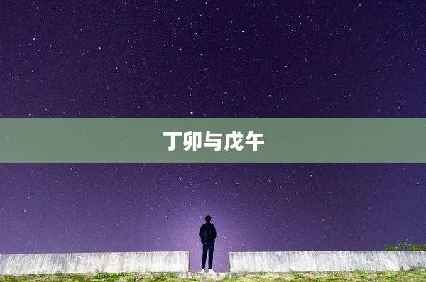 丁卯与戊午