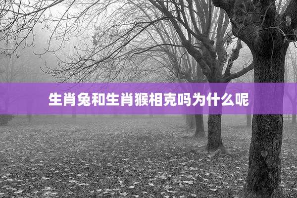生肖兔和生肖猴相克吗为什么呢