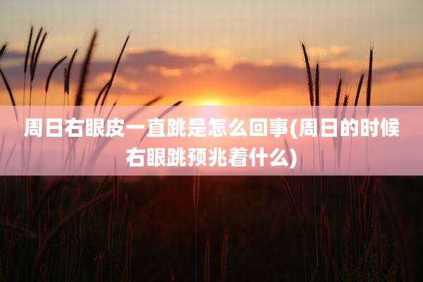 周日右眼皮一直跳是怎么回事(周日的时候右眼跳预兆着什么)