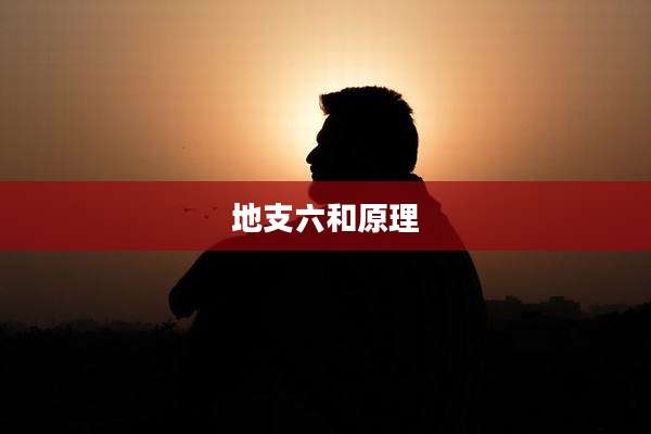 地支六和原理