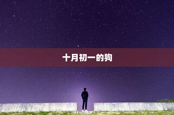 十月初一的狗