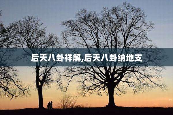 后天八卦祥解,后天八卦纳地支