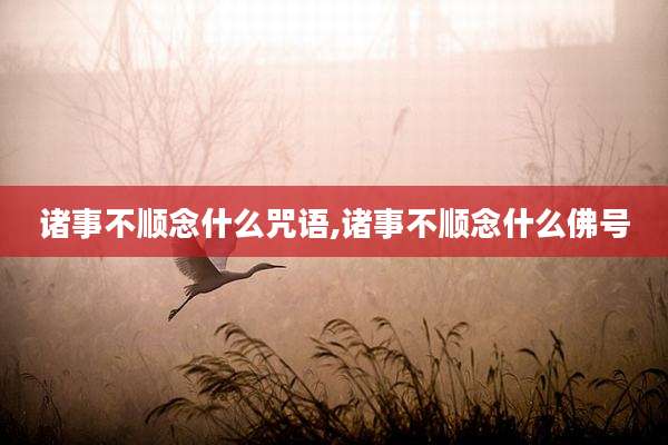 诸事不顺念什么咒语,诸事不顺念什么佛号