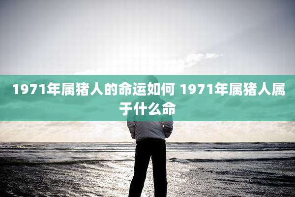 1971年属猪人的命运如何 1971年属猪人属于什么命