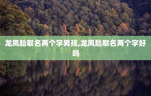 龙凤胎取名两个字男孩,龙凤胎取名两个字好吗