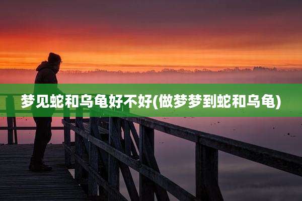 梦见蛇和乌龟好不好(做梦梦到蛇和乌龟)