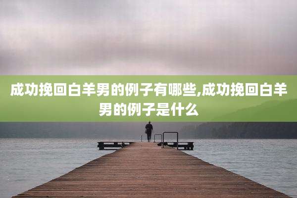 成功挽回白羊男的例子有哪些,成功挽回白羊男的例子是什么