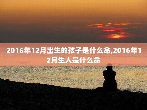2016年12月出生的孩子是什么命,2016年12月生人是什么命