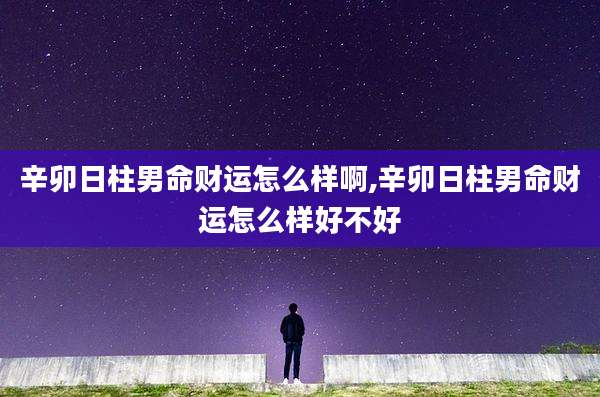 辛卯日柱男命财运怎么样啊,辛卯日柱男命财运怎么样好不好