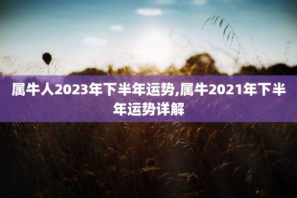 属牛人2023年下半年运势,属牛2021年下半年运势详解