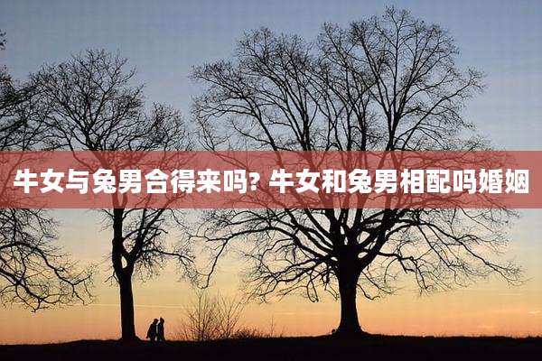 牛女与兔男合得来吗? 牛女和兔男相配吗婚姻
