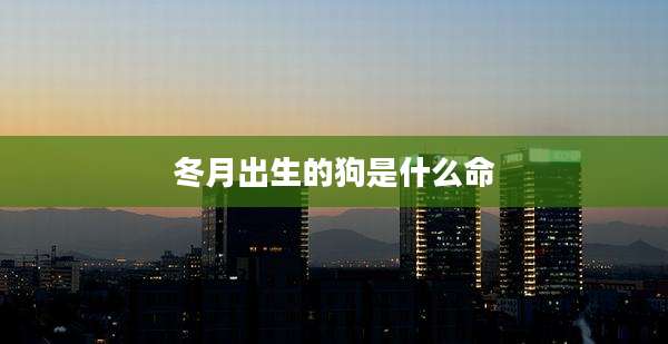 冬月出生的狗是什么命