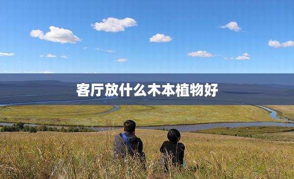 客厅放什么木本植物好