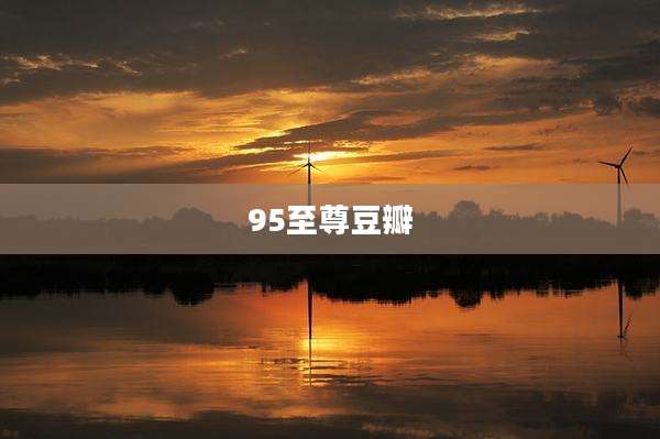 95至尊豆瓣