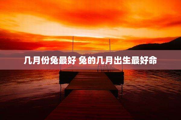 几月份兔最好 兔的几月出生最好命