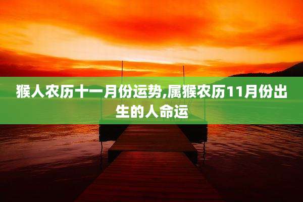 猴人农历十一月份运势,属猴农历11月份出生的人命运