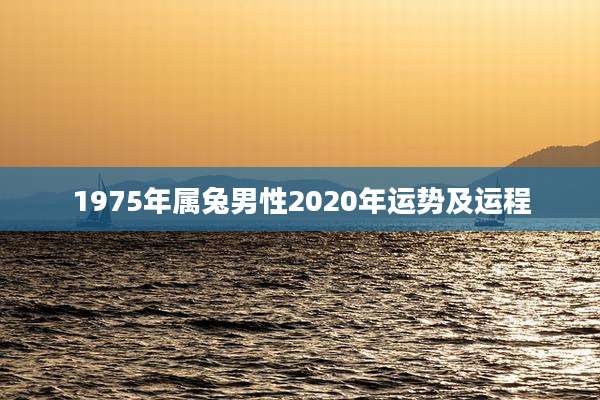 1975年属兔男性2020年运势及运程