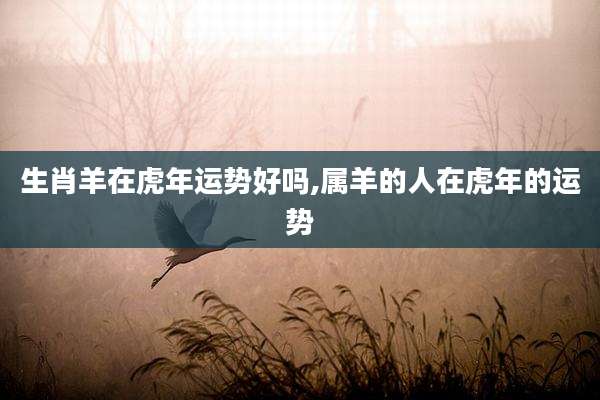 生肖羊在虎年运势好吗,属羊的人在虎年的运势