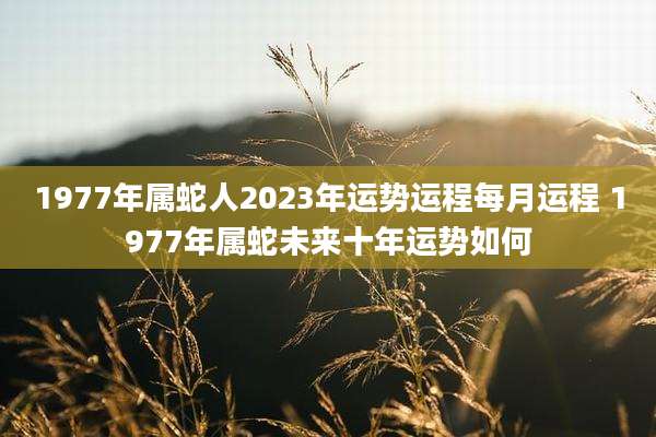 1977年属蛇人2023年运势运程每月运程 1977年属蛇未来十年运势如何
