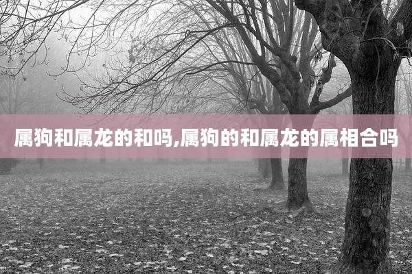 属狗和属龙的和吗,属狗的和属龙的属相合吗