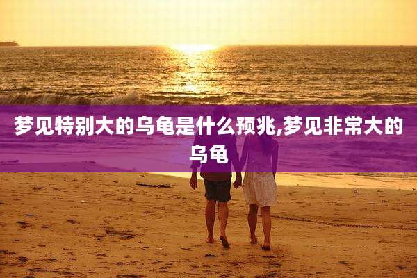 梦见特别大的乌龟是什么预兆,梦见非常大的乌龟