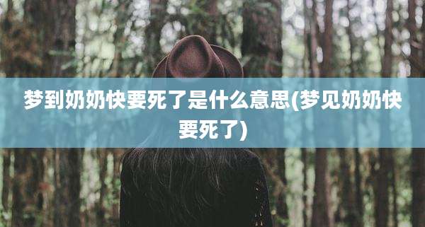 梦到奶奶快要死了是什么意思(梦见奶奶快要死了)