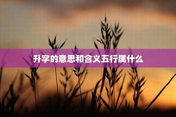 升字的意思和含义五行属什么