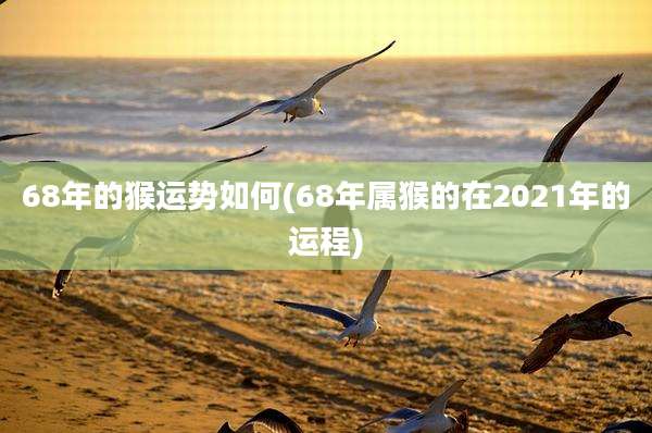 68年的猴运势如何(68年属猴的在2021年的运程)