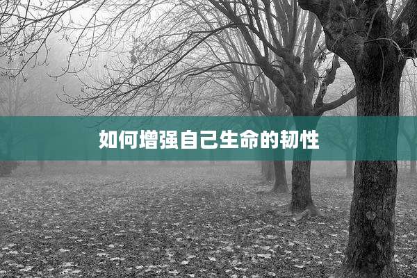 如何增强自己生命的韧性