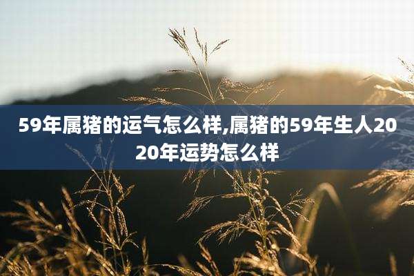 59年属猪的运气怎么样,属猪的59年生人2020年运势怎么样