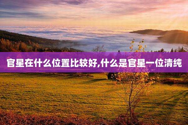 官星在什么位置比较好,什么是官星一位清纯