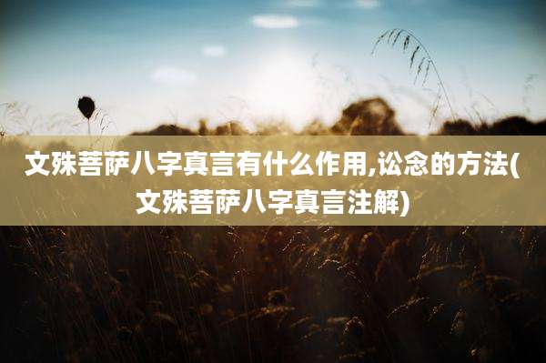 文殊菩萨八字真言有什么作用,讼念的方法(文殊菩萨八字真言注解)