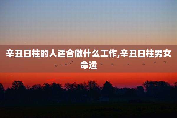 辛丑日柱的人适合做什么工作,辛丑日柱男女命运