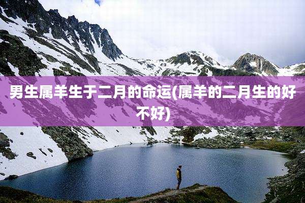 男生属羊生于二月的命运(属羊的二月生的好不好)