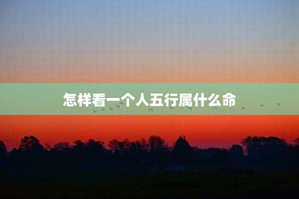 怎样看一个人五行属什么命