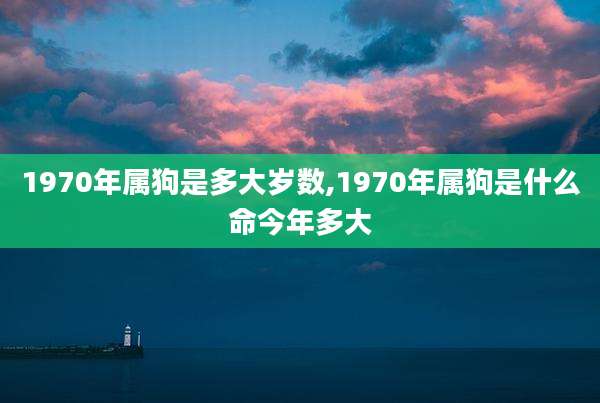1970年属狗是多大岁数,1970年属狗是什么命今年多大
