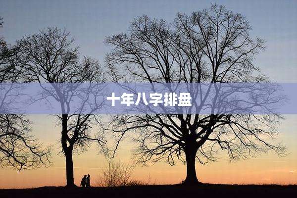 十年八字排盘