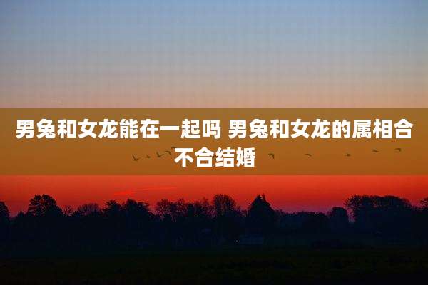 男兔和女龙能在一起吗 男兔和女龙的属相合不合结婚