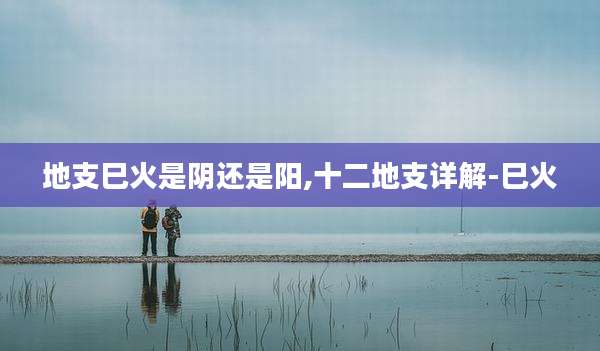 地支巳火是阴还是阳,十二地支详解-巳火