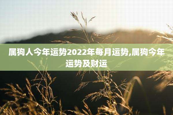 属狗人今年运势2022年每月运势,属狗今年运势及财运
