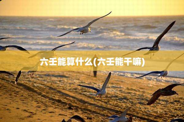 六壬能算什么(六壬能干嘛)