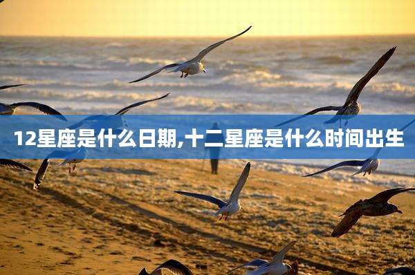 12星座是什么日期,十二星座是什么时间出生