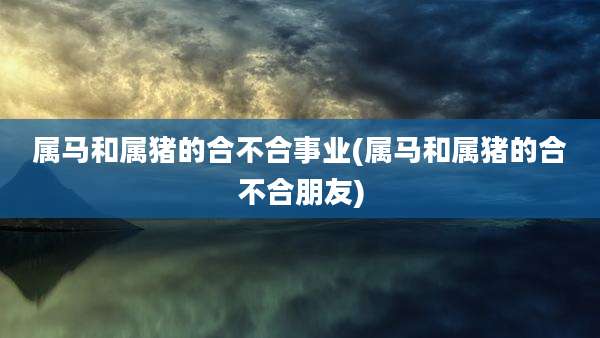 属马和属猪的合不合事业(属马和属猪的合不合朋友)