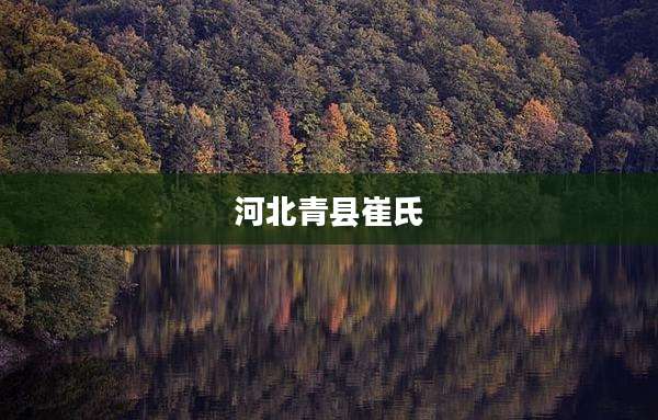 河北青县崔氏
