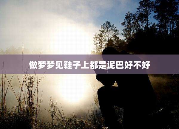 做梦梦见鞋子上都是泥巴好不好
