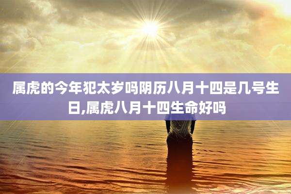 属虎的今年犯太岁吗阴历八月十四是几号生日,属虎八月十四生命好吗